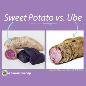 What is the Difference Between Purple Sweet Potato and Ube?