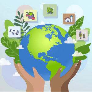 Partnerships for Climate-Smart Commodities Project Summaries