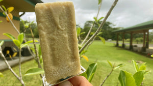 ulu and maia popsicles