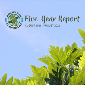 HUC Celebrates 5th Anniversary: Download Our Five-Year Report
