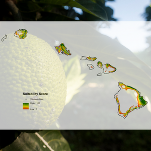 Cultivation Potential of Breadfruit in Hawaiʻi