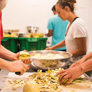 Agricultural Processor (Kona)