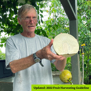 Fruit Harvesting Guideline