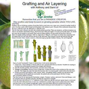 ‘Ulu Grafting and Air Layering
