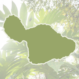 Lāhainā Fire Relief Plan