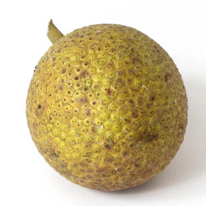 Fresh vs. Frozen Breadfruit