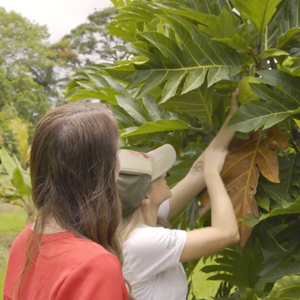 Empowered Hawaiʻi: Sprouting New Solutions