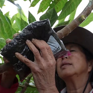 ʻUlu Air Layering - Basics