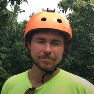 Breadfruit Tree Pruning Guide: Rejuvenating Pruning