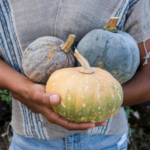 farmer holds three squash