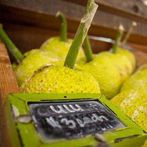 Want Hawaii To Be Less Dependent On Imported Food? Change Your Diet