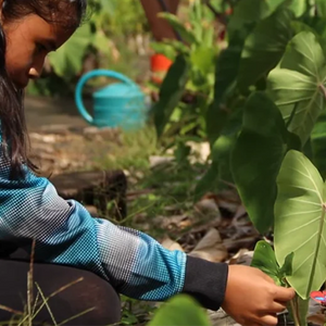 Classrooms connect with farmers, chefs, locally grown food in new school program