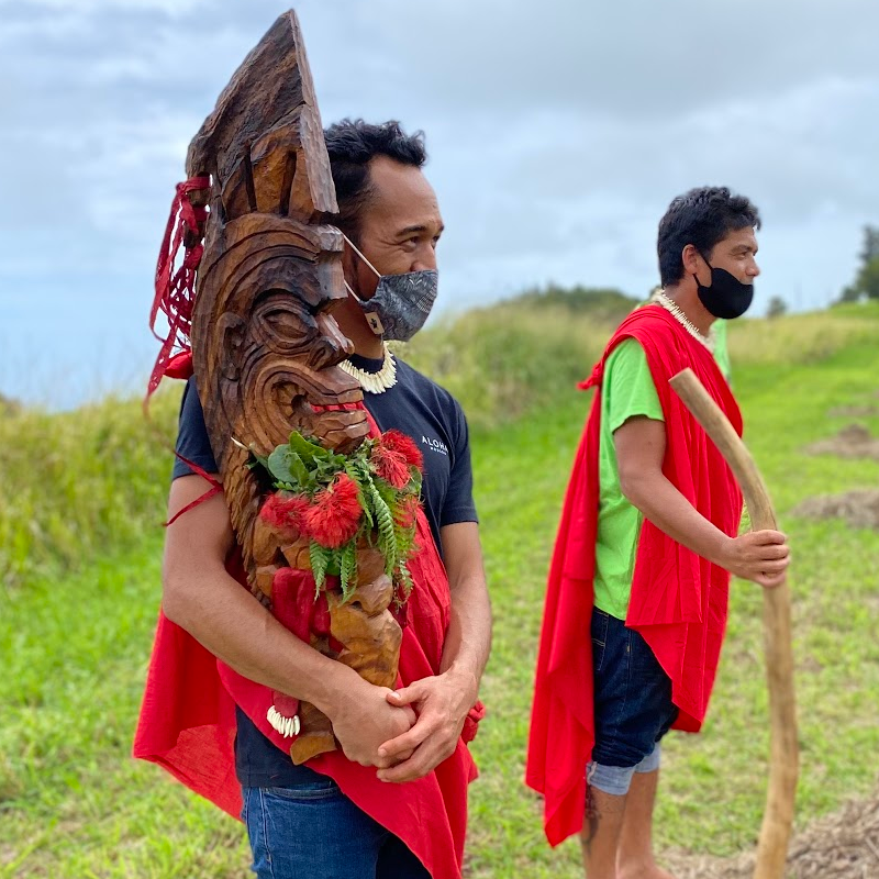 Welcoming Kū with a Kaʻau of ʻUlu Trees – Hawaiʻi ʻUlu Cooperative