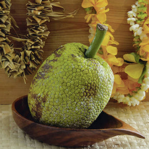 Growing availability of frozen breadfruit fuels interest in the versatile, nutrient-rich food
