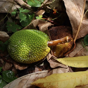 ʻUlu Nutrient Management