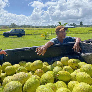 In Hawaii, where 90% of food is imported, farmers who offset imbalance now face cuts