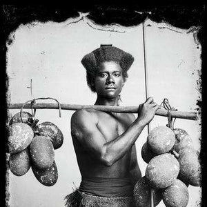 Can breadfruit save the world?
