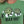 Women's Breadfruit Farmers Forever T-shirt