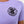Women's Hawaiʻi ʻUlu Cooperative Logo T-shirt