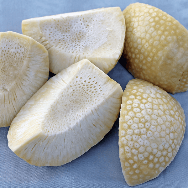 Peeled mature ʻulu (breadfruit) quarter