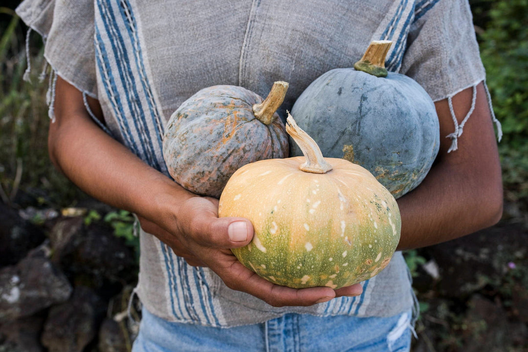 ‘Ulu Recipes – Hawaiʻi ʻUlu Cooperative
