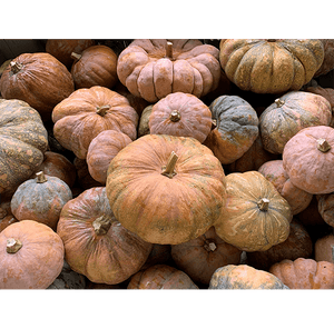 Palaʻai (Winter Squash) Bulk