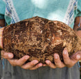 Kalo (Taro) Monthly Subscription Local Pickup
