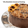 ‘Ulu Lā - ‘Ulu Chocolate Mousse (120 pack)